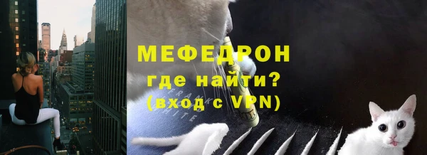 индика Балахна