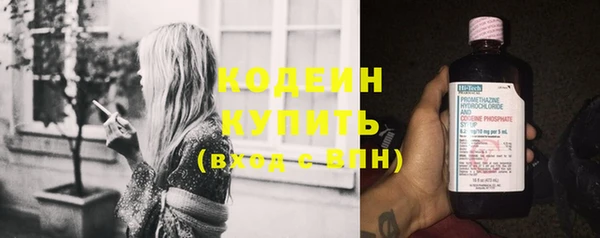 крисы Сатка