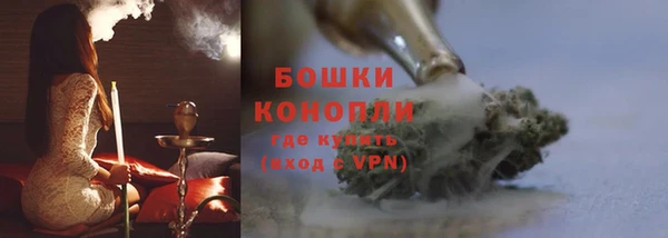 индика Балахна