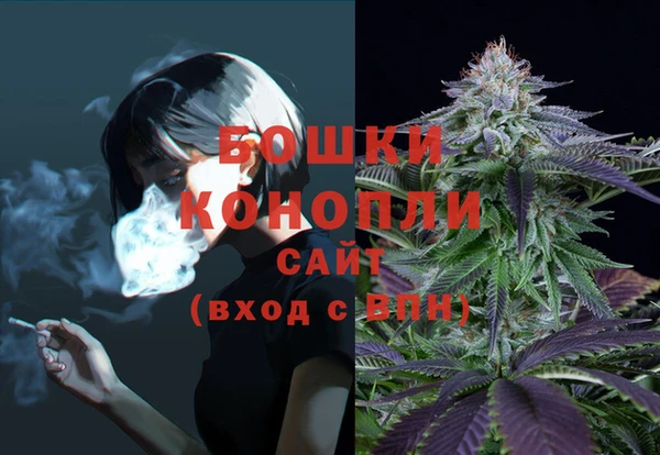 крисы Сатка