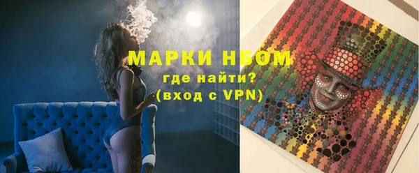 индика Балахна