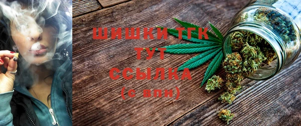 индика Балахна